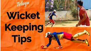 Wicket Keeping  Tips & Drills  【తెలుగు】