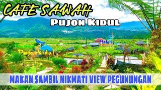 Cafe Sawah Desa Wisata Pujon Kidul JAWA TIMUR  wisata murah di malang  updtate review terbaru