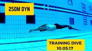 250m Dynamic Apnea with Fins  Training Dive.