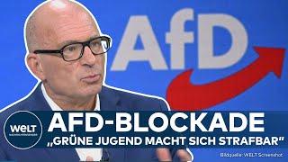 AFD Verfassungsrechtler Grüne Jugend macht sich strafbar Blockadeplan für Parteitag in Essen