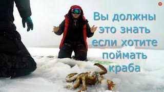 Особенности Сахалинской крабалкиfeatures of the Sakhalin crab hunting 