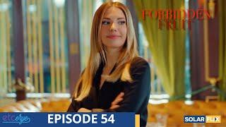 Forbidden Fruit Episode 54  FULL EPISODE  TAGALOG DUB  Turkish Drama