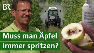 Pflanzenschutz im Obstbau Muss man Äpfel Birne & Co. immer spritzen?  Pestizide  Unser Land  BR