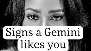 Signs a Gemini likes you