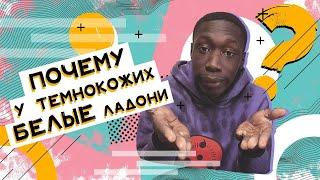 Почему у темнокожих - белые ладони? Хороший Вопрос