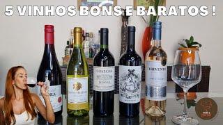 5 vinhos BONS E BARATOS R$30 a R$50 e dicas de harmonização  atualizado 2023