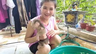 Oh My God So Cute Baby Monkey Kiti was scared when he first bathed in a large basin of water