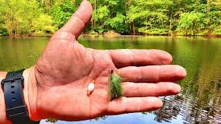 Super Simple Jig & Bobber Setup That Drive Crappie Crazy