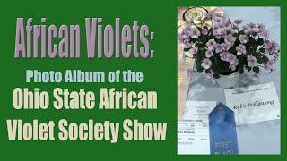 2019 Ohio State African Violet Society Show Photo Album