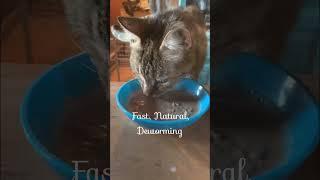 How to deworm cats naturally with good old food grade diatomaceous earth?