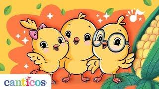 Canticos  Los Pollitos dicen pío pío pío  Little Chickies  Aprende Inglés  Learn Spanish