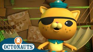 Octonauts - Kwaziis Treasure Hunt  Cartoons for Kids  Underwater Sea Education