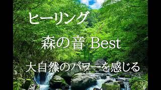 森の音BEST【立体音響】大自然のパワーを感じてください