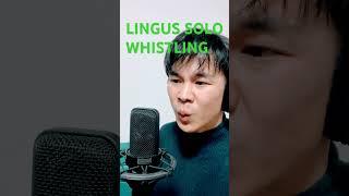 Lingus Cory Henry Solo Whistling? #jazz #snarkypuppy #lingus #whistling