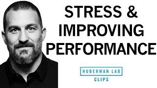 The Impact of Mindset on Stress and Performance  Dr. Andrew Huberman