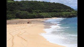 Coronavirus halted tourists to Oahus North Shore. What will the future look like?