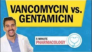 Pharmacology - Vancomycin vs. Gentamicin Antibiotics nursing RN PN NCLEX