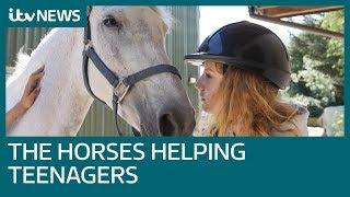 Equine therapy How horses are helping teens mental health  ITV News