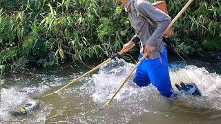 setrum ikan akrobatik hasilnya dapat banyak ikan babon