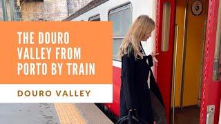 Douro Valley Wineries from Porto by Train