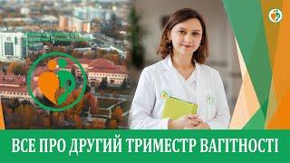 Все про другий триместр вагітності  Уляна Дем’янчук.