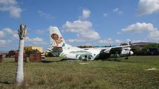 Олег Зубков разнимает дерущихся львов в  самолете  Тайган .Крым.