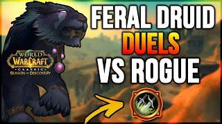 SoD Feral Druid vs Rogue DUELS Guide  ExplanationsStrats  Season of Discovery Phase 2  PvP