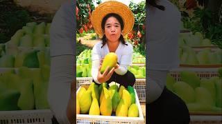 Amazing fruits farming #shorts #shortsviral #indianshorts #mangojuice #fruits