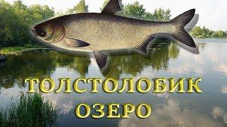 Толстолобик. Озеро. Русская Рыбалка 3 Огненная земля
