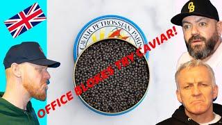 British Blokes Try Caviar  Office Blokes Try