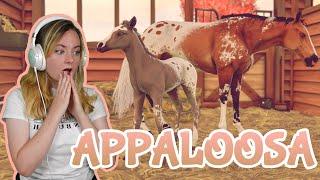 BREEDING GORGEOUS APPALOOSA COATS - Rival Stars Horse Racing  Pinehaven