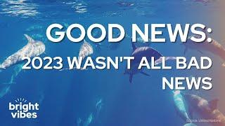 Good news 18 Positive Stories That Prove 2023 Wasnt All Bad News