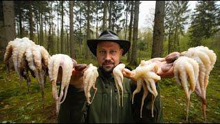 Grilling baby octopus in the forest  ASMR Outdoor Cooking