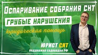 Оспаривание общего собрания членов товарищества - Председатель СНТ СНТСН