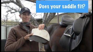 Dressage Saddle Fit