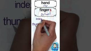 Names of fingers  اسماء اصابع اليد بالانجليزي خنصر - بنصر - وسطى - سبابه - ابهام