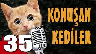 Konuşan Kediler 35 - En Komik Kedi Videoları