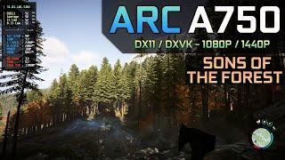 Sons of the Forest - Arc A750  DX11  DXVK - 1080P  1440P