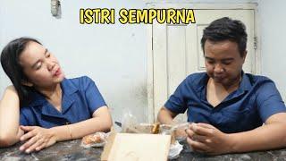 ISTRI SEMPURNA