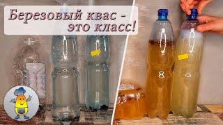 Домашний квас из березового сока с изюмом и готовый результат 2  рецепта сроки брожения и вкус