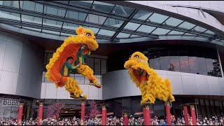 Acrobatic Lion Dance 舞狮高桩表演 Múa Lân by Khuan Loke 群樂 @ The Starling Mall Malaysia I CNY2023 4k