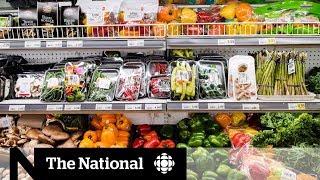 Health Canadas new food guide takes a radical overhaul