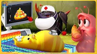 LARVA SEASON 6 EPISODE 215  320  CARTOON FOR LIFE  CARTOON MOVIE NEW VERSION