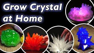 How to Grow Crystals at Home Compilation