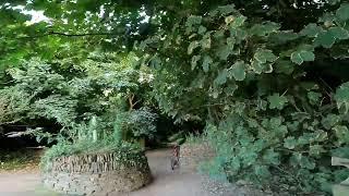 cycling to tehidy woods