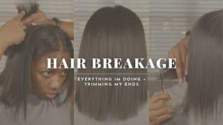 Hair Breakage What to Do & How to Stop It  DIY Hair Trim  Niara Alexis