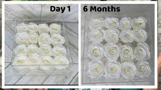 6 MONTHS UPDATE REVIEW - ROSE FOREVER New York Preserved Roses