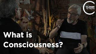 Ned Block - What is Consciousness?