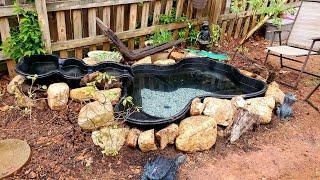 MY NEW BACKYARD POND BEAUTIFUL