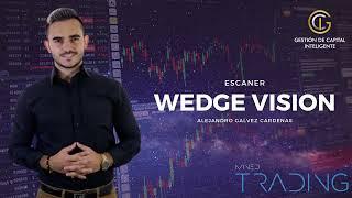 Como usar el ESCÁNER WEDGE VISION de MINED